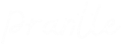 Meet New Friends on Prantle